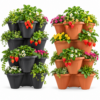 Stackable Strawberry Planters - Black & Terracotta Black and terracotta stackable strawberry planters with plants