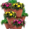 terracotta-strawberry-planter-flowers-lifestyle Stackable Strawberry Planter Pots - Black or Terracotta - Packs 1-6